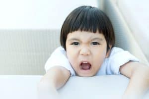 shutterstock 563897152