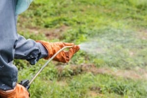 Roundup Deemed Probable Carcinogenic