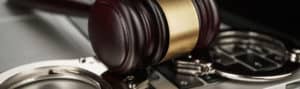 Animal Cruelty Lawyers